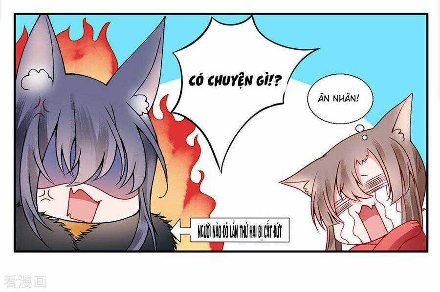 Hoàng Phi 9000 Tuổi Chapter 44 trang 12