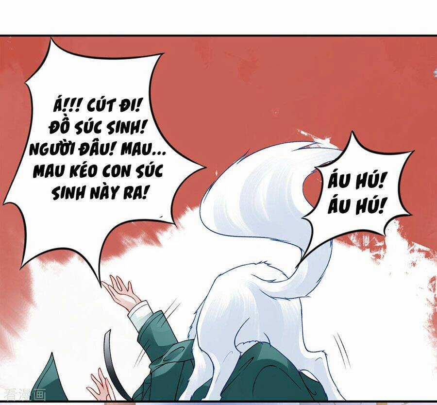 Hoàng Phi 9000 Tuổi Chapter 45 trang 10