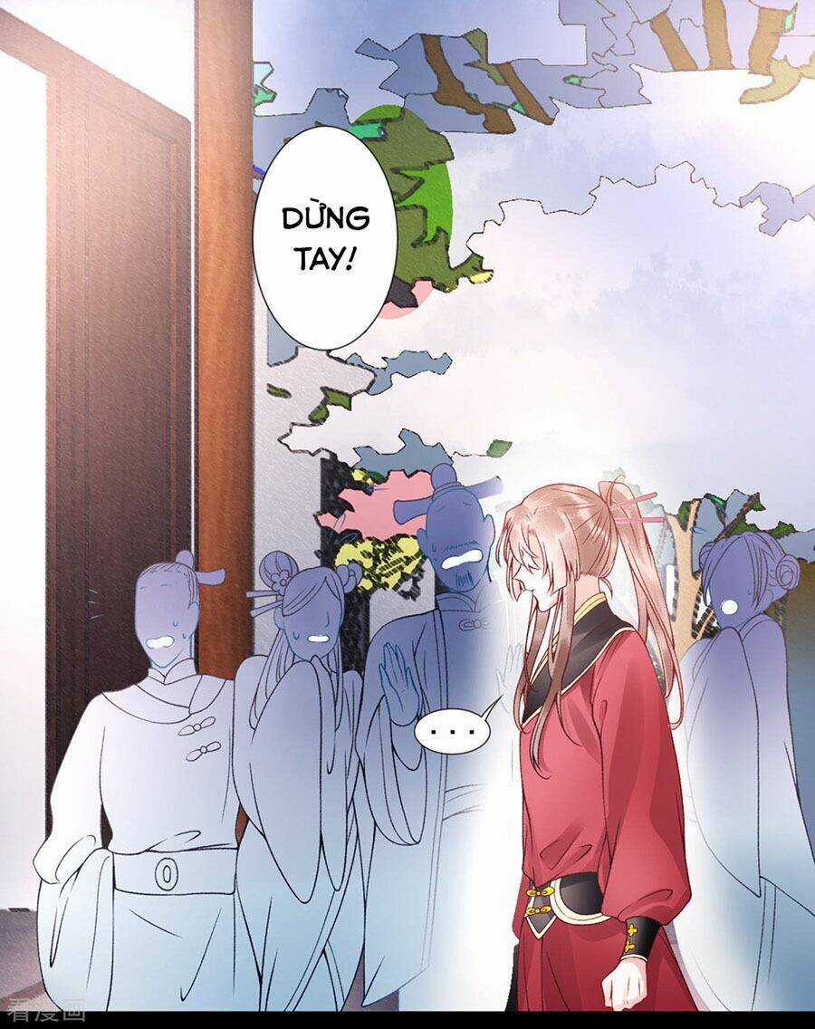 Hoàng Phi 9000 Tuổi Chapter 45 trang 11