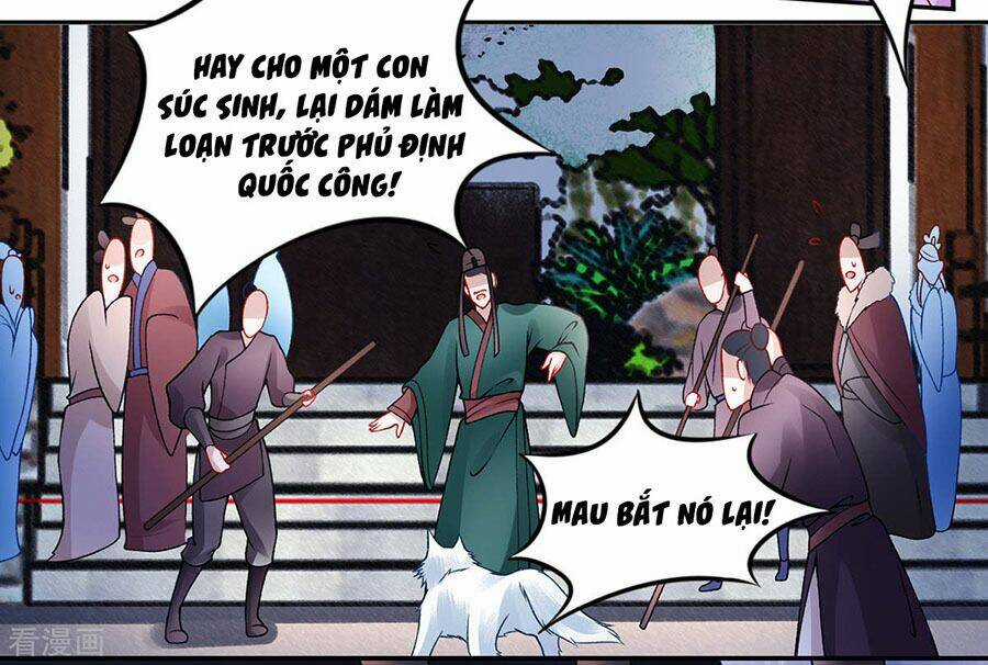 Hoàng Phi 9000 Tuổi Chapter 45 trang 5
