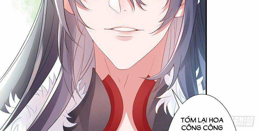 Hoàng Phi 9000 Tuổi Chapter 5 trang 11