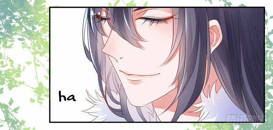 Hoàng Phi 9000 Tuổi Chapter 5 trang 46