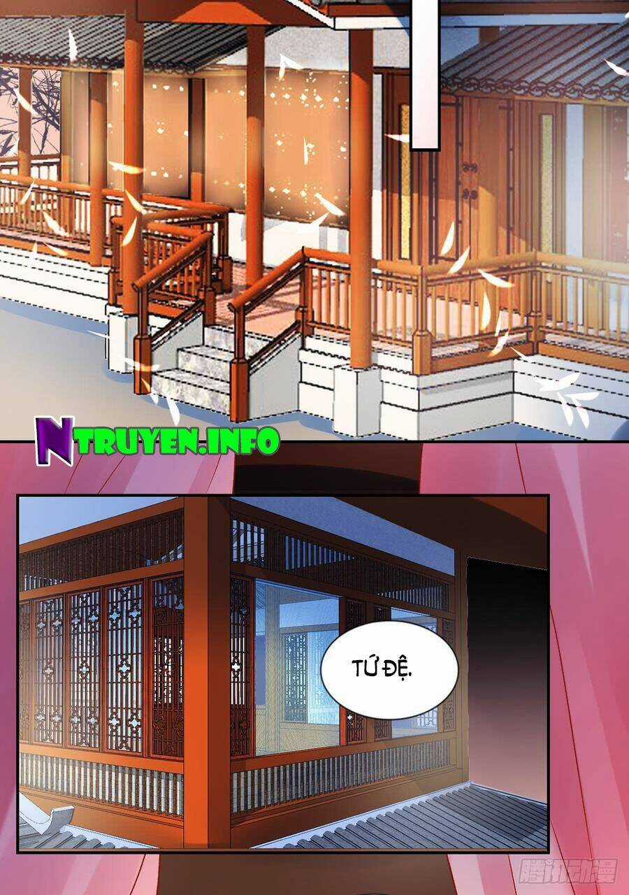 Hoàng Phi 9000 Tuổi Chapter 53 trang 5