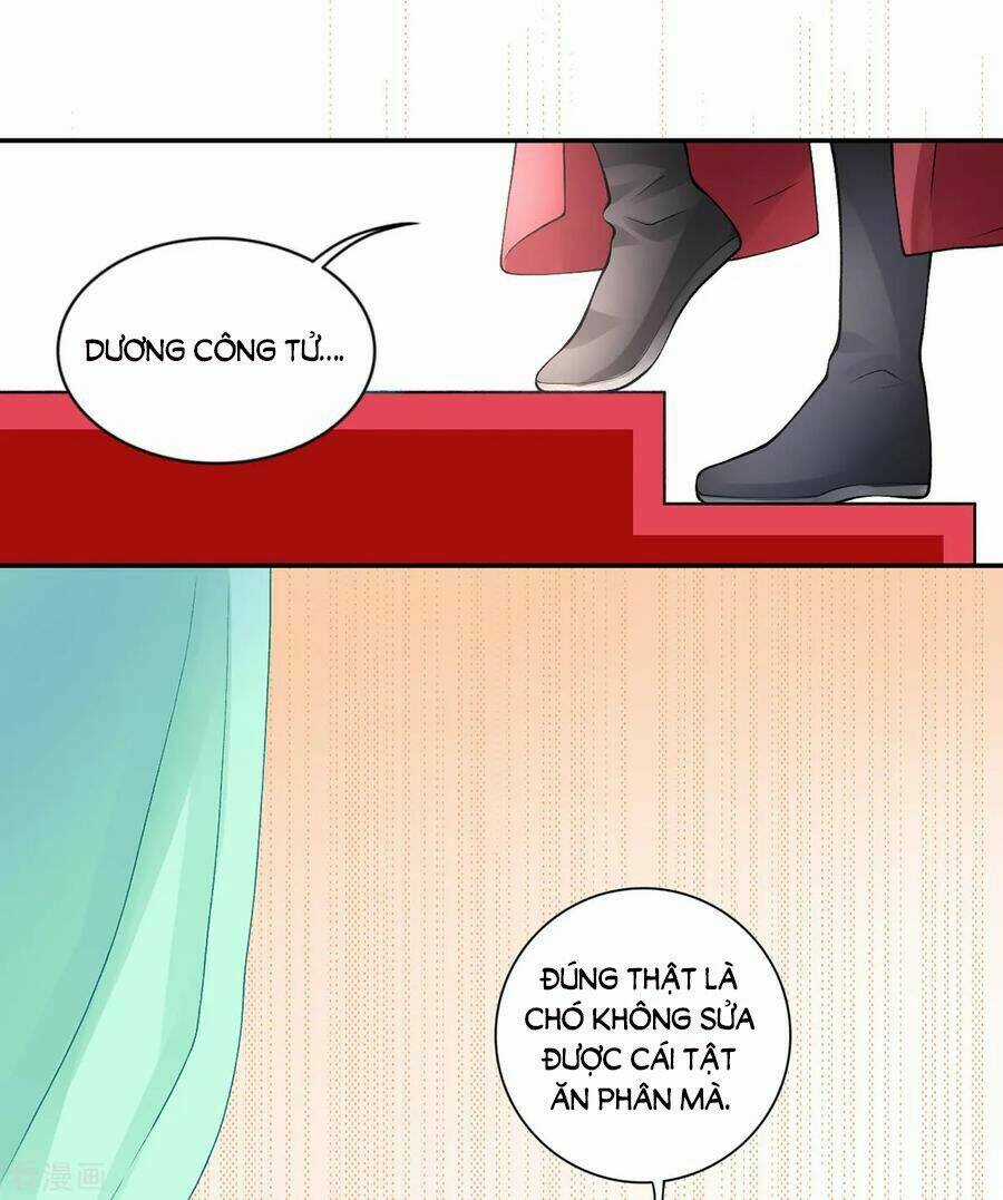 Hoàng Phi 9000 Tuổi Chapter 59 trang 26