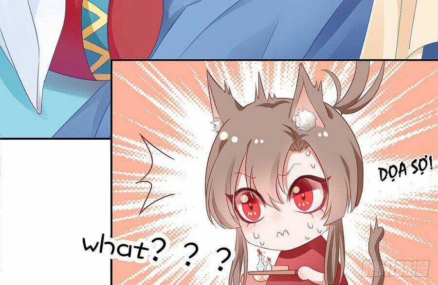 Hoàng Phi 9000 Tuổi Chapter 6 trang 34