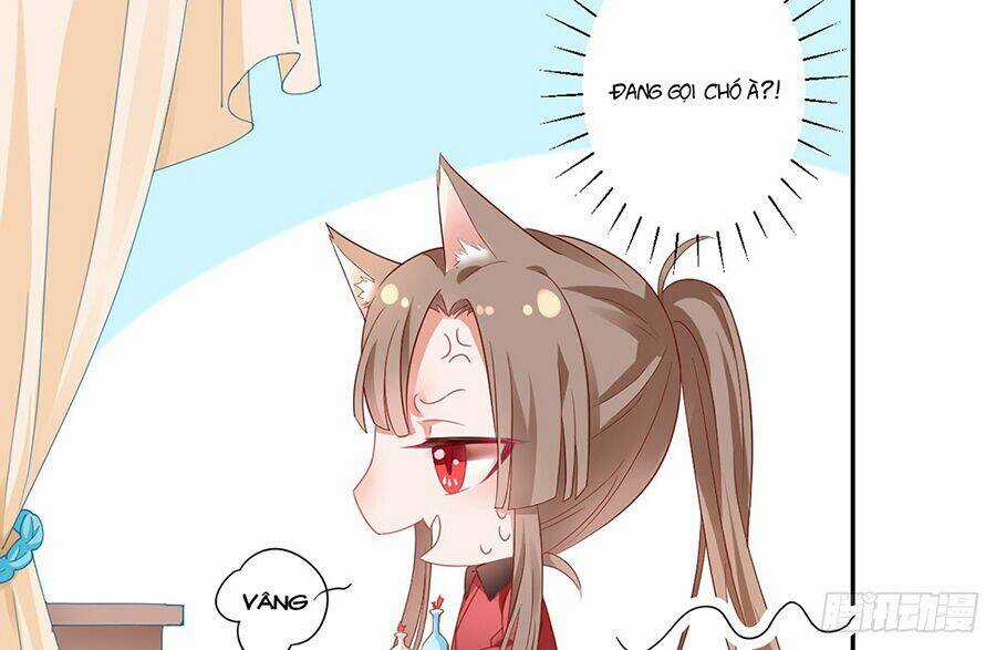 Hoàng Phi 9000 Tuổi Chapter 6 trang 36