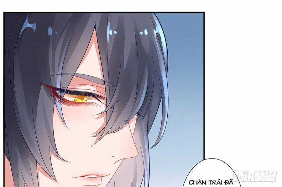 Hoàng Phi 9000 Tuổi Chapter 6 trang 39