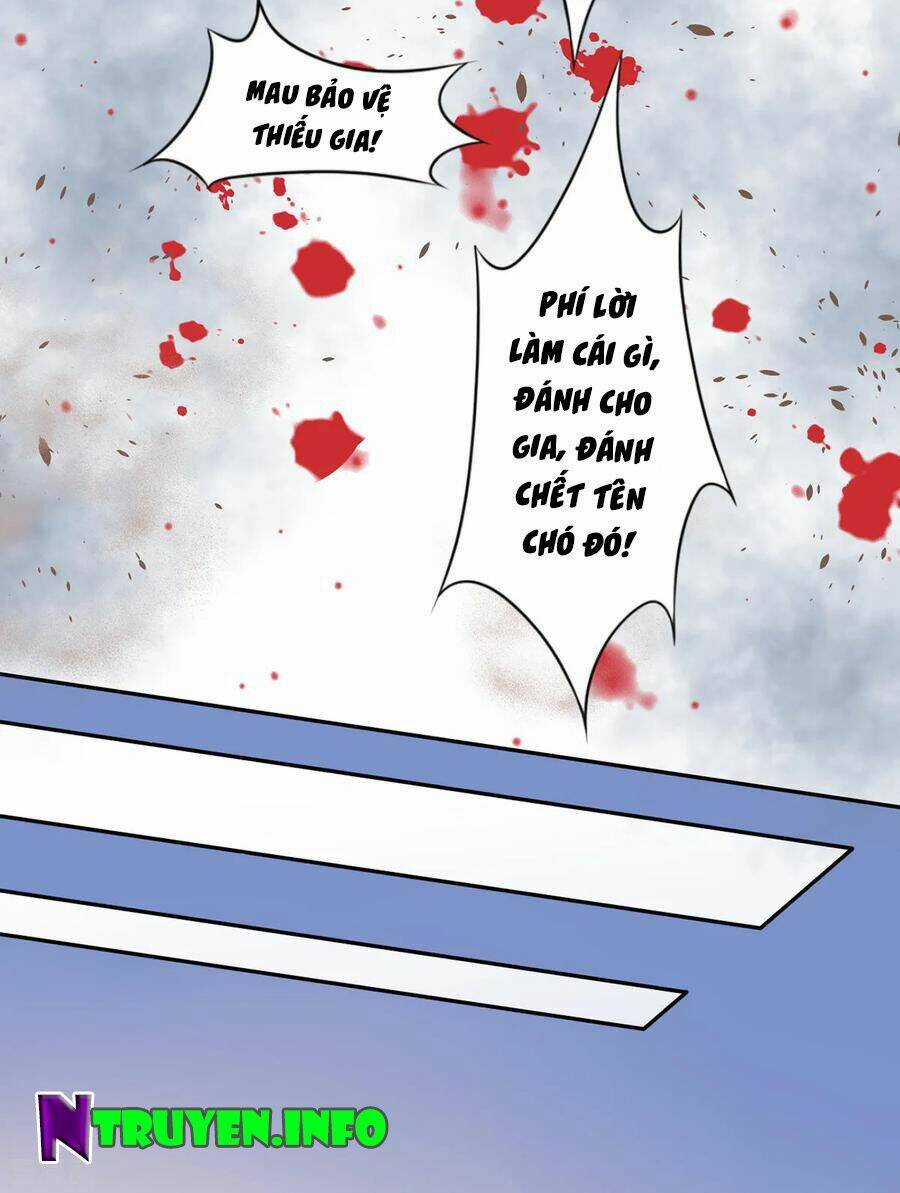 Hoàng Phi 9000 Tuổi Chapter 61 trang 7