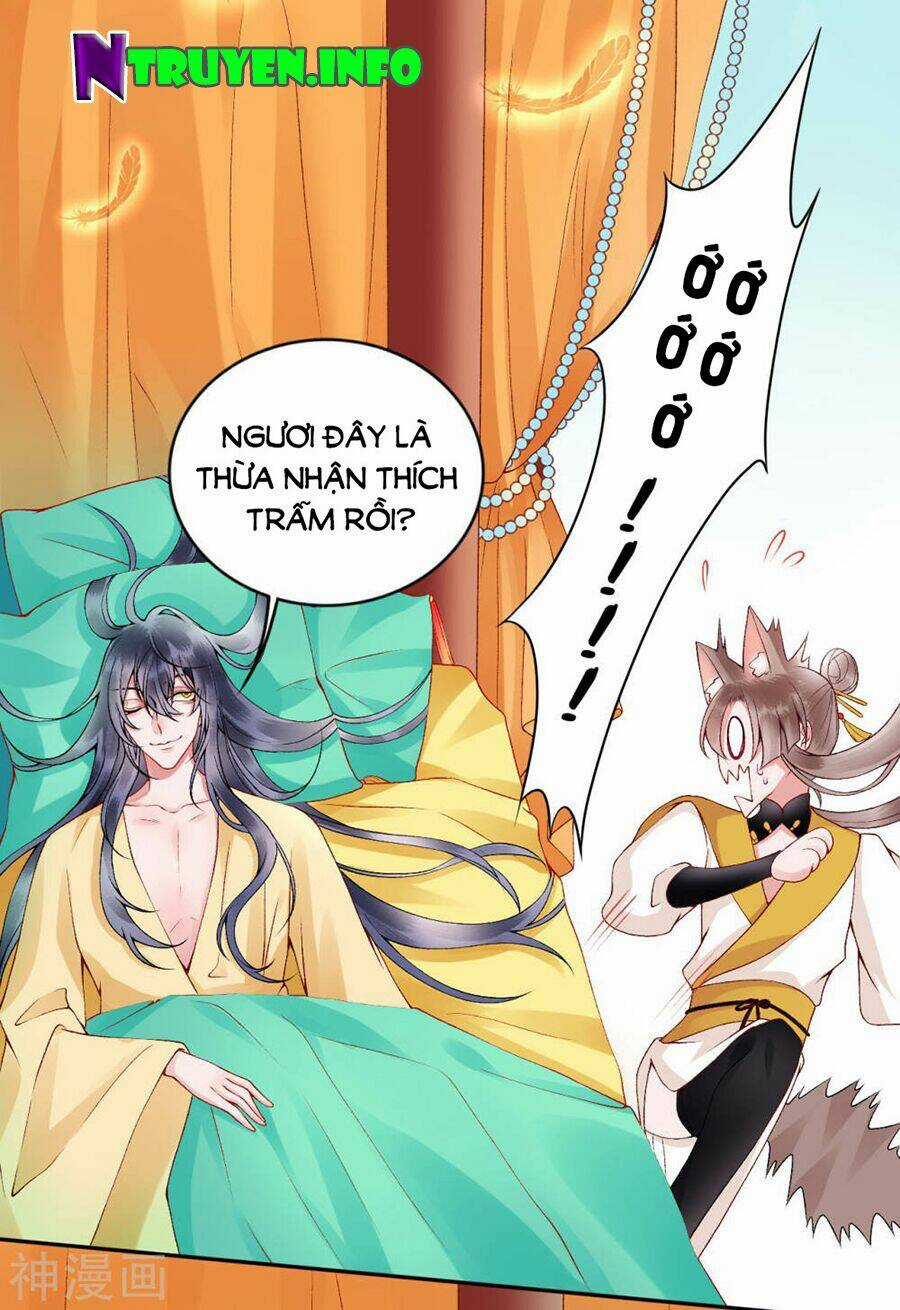 Hoàng Phi 9000 Tuổi Chapter 64 trang 22