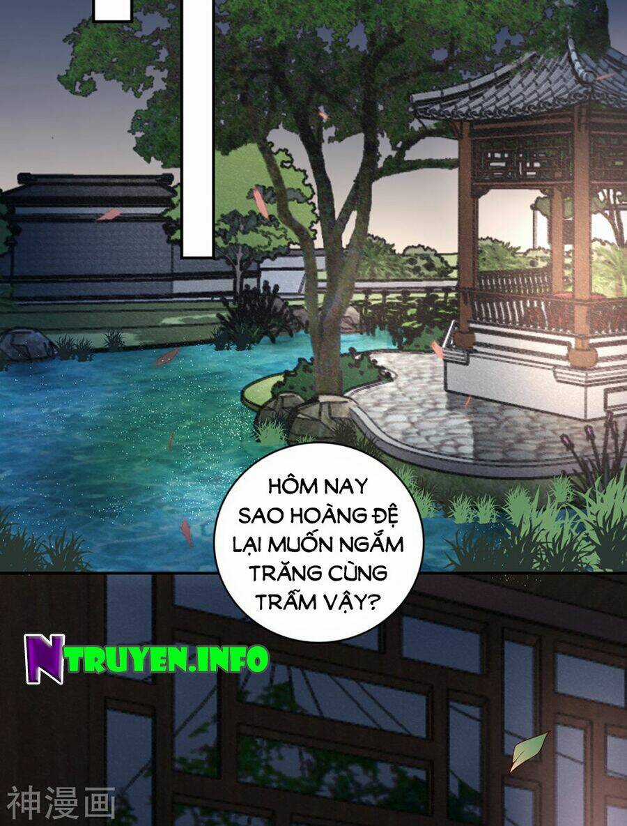 Hoàng Phi 9000 Tuổi Chapter 66 trang 17