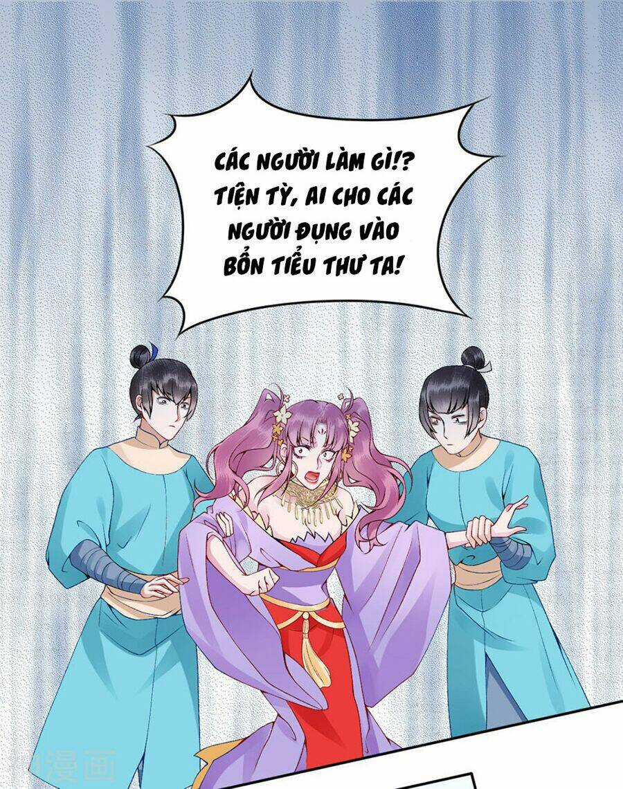 Hoàng Phi 9000 Tuổi Chapter 66 trang 5