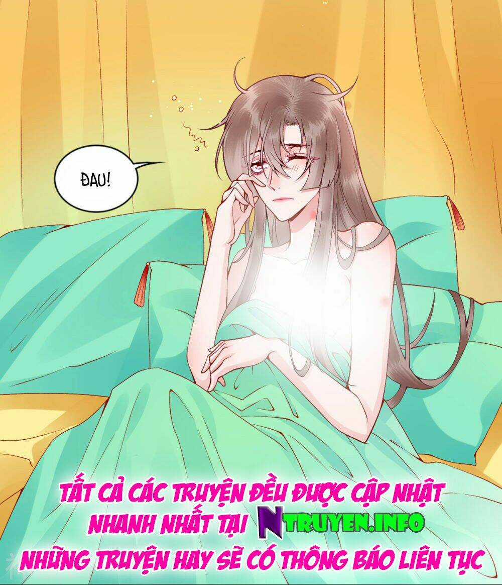 Hoàng Phi 9000 Tuổi Chapter 67 trang 17