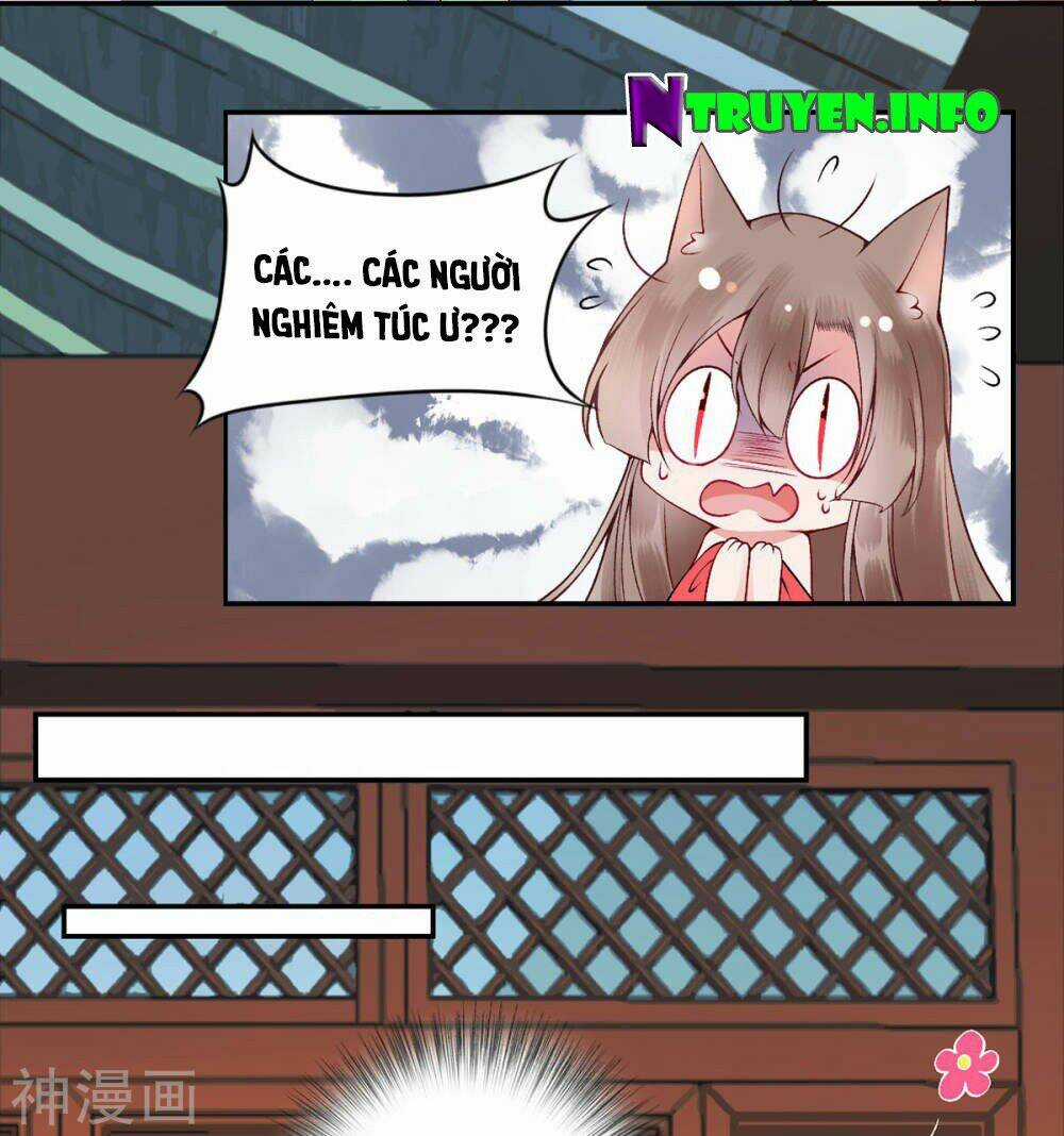 Hoàng Phi 9000 Tuổi Chapter 67 trang 22