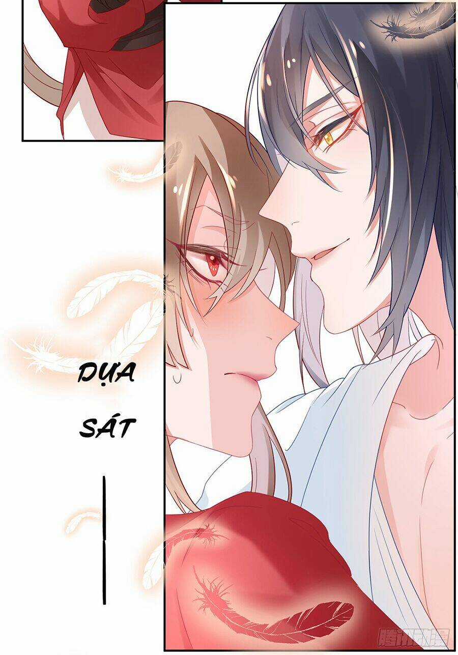 Hoàng Phi 9000 Tuổi Chapter 7 trang 5