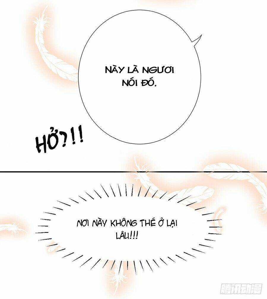 Hoàng Phi 9000 Tuổi Chapter 7 trang 6