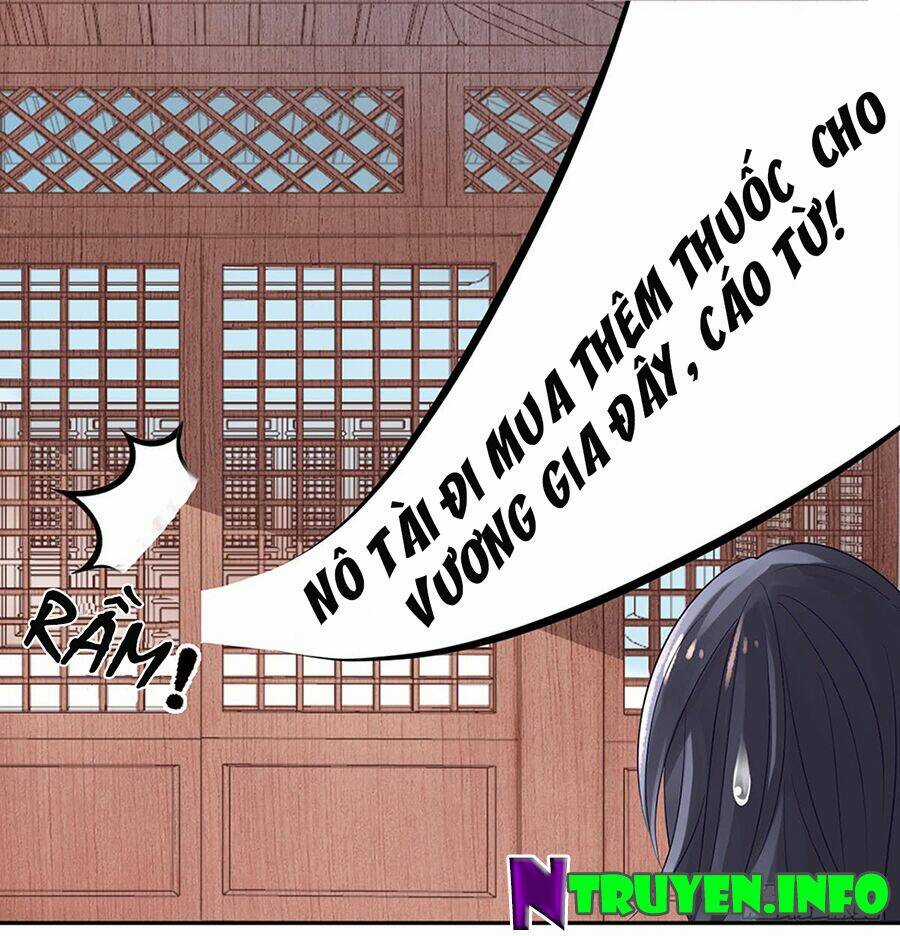 Hoàng Phi 9000 Tuổi Chapter 7 trang 7