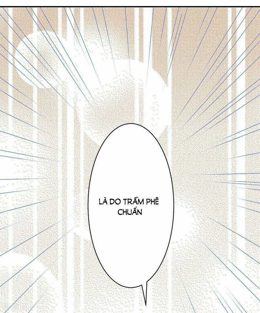 Hoàng Phi 9000 Tuổi Chapter 71 trang 25