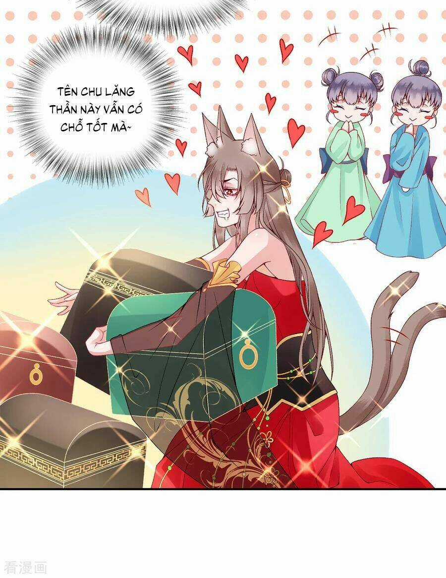 Hoàng Phi 9000 Tuổi Chapter 72 trang 29