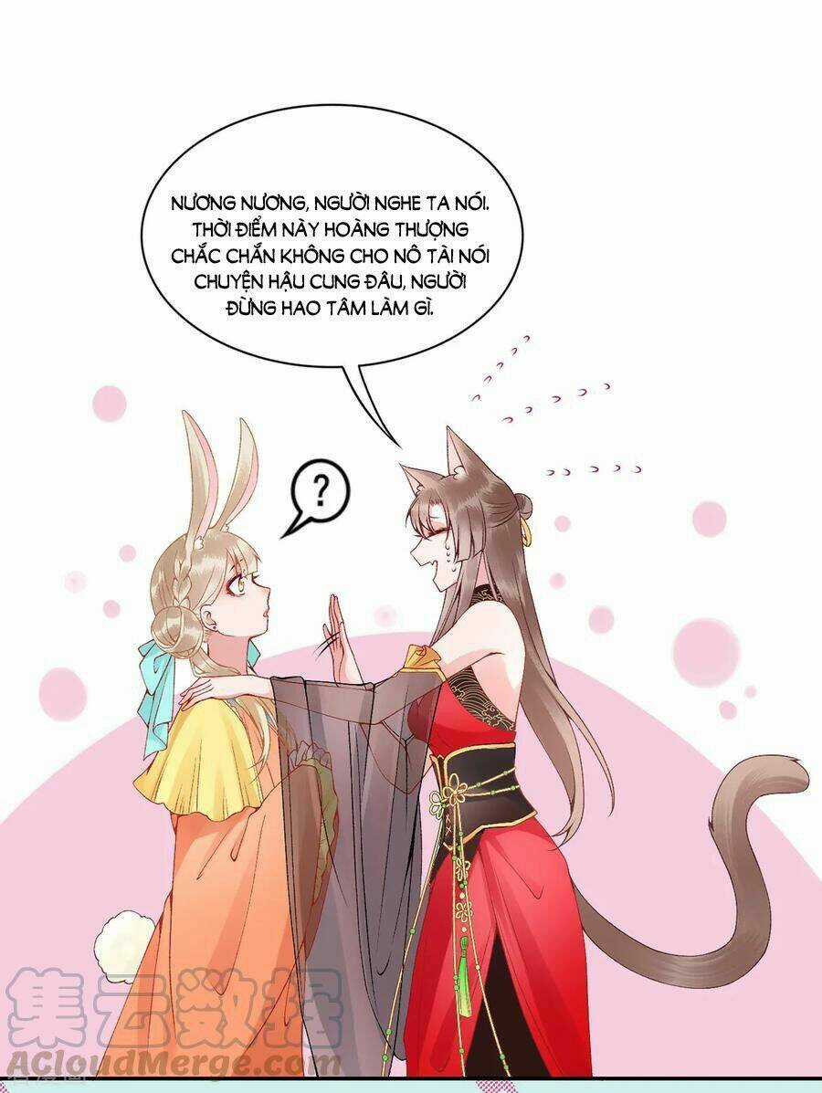 Hoàng Phi 9000 Tuổi Chapter 73 trang 8