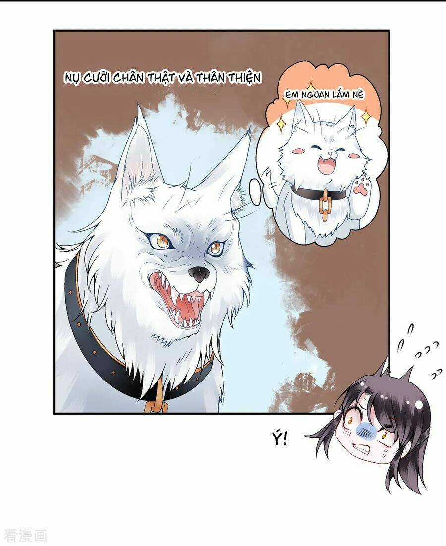 Hoàng Phi 9000 Tuổi Chapter 74 trang 26