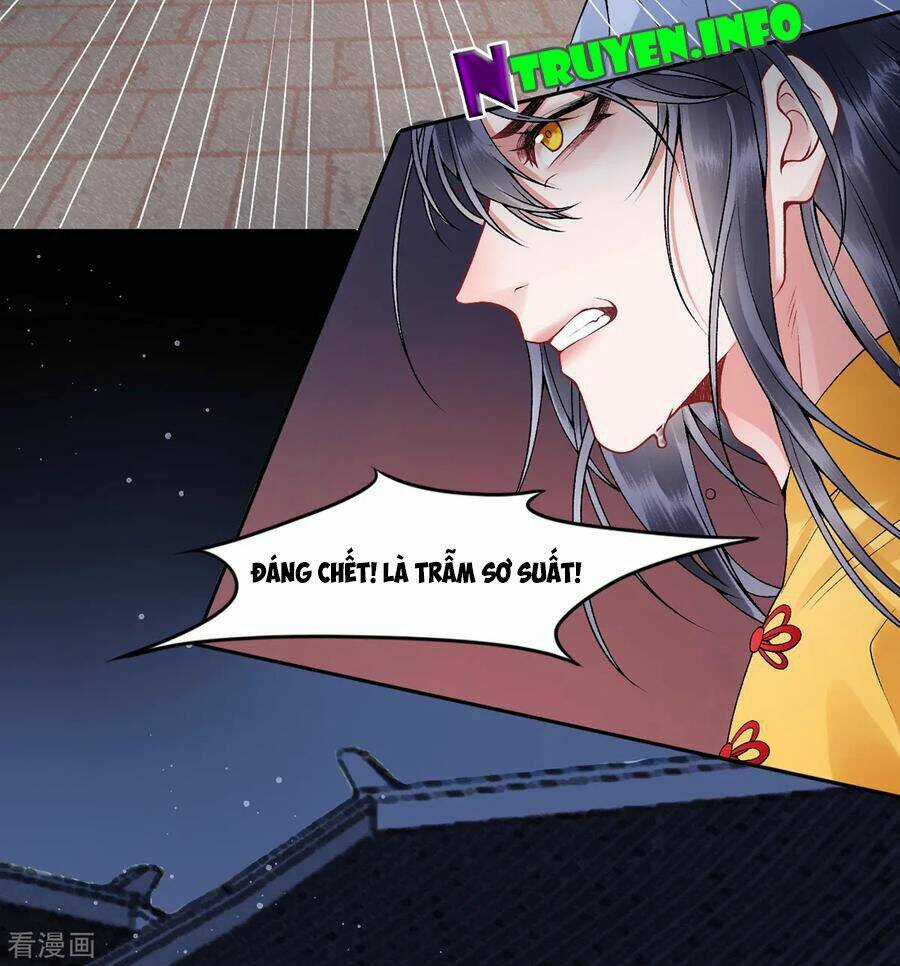 Hoàng Phi 9000 Tuổi Chapter 75 trang 31