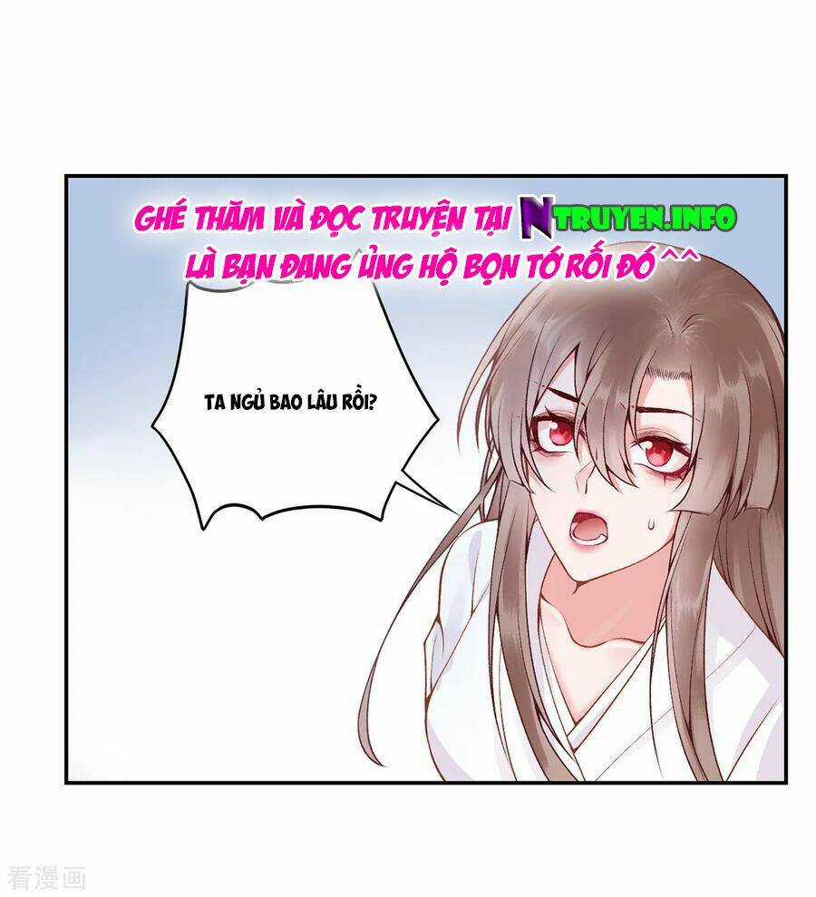 Hoàng Phi 9000 Tuổi Chapter 77 trang 29