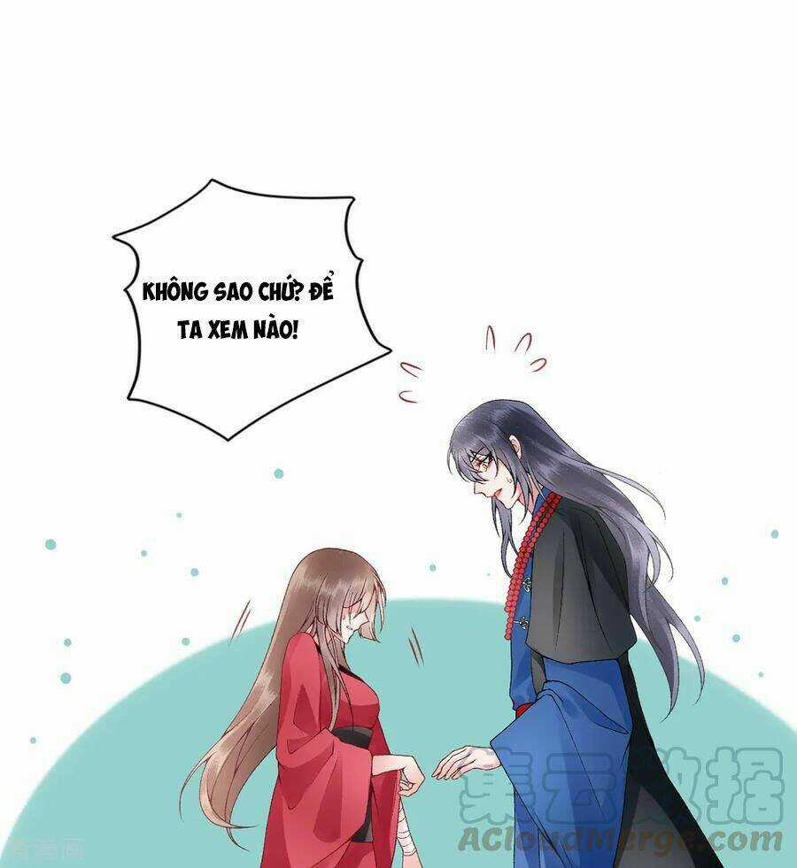 Hoàng Phi 9000 Tuổi Chapter 78 trang 21