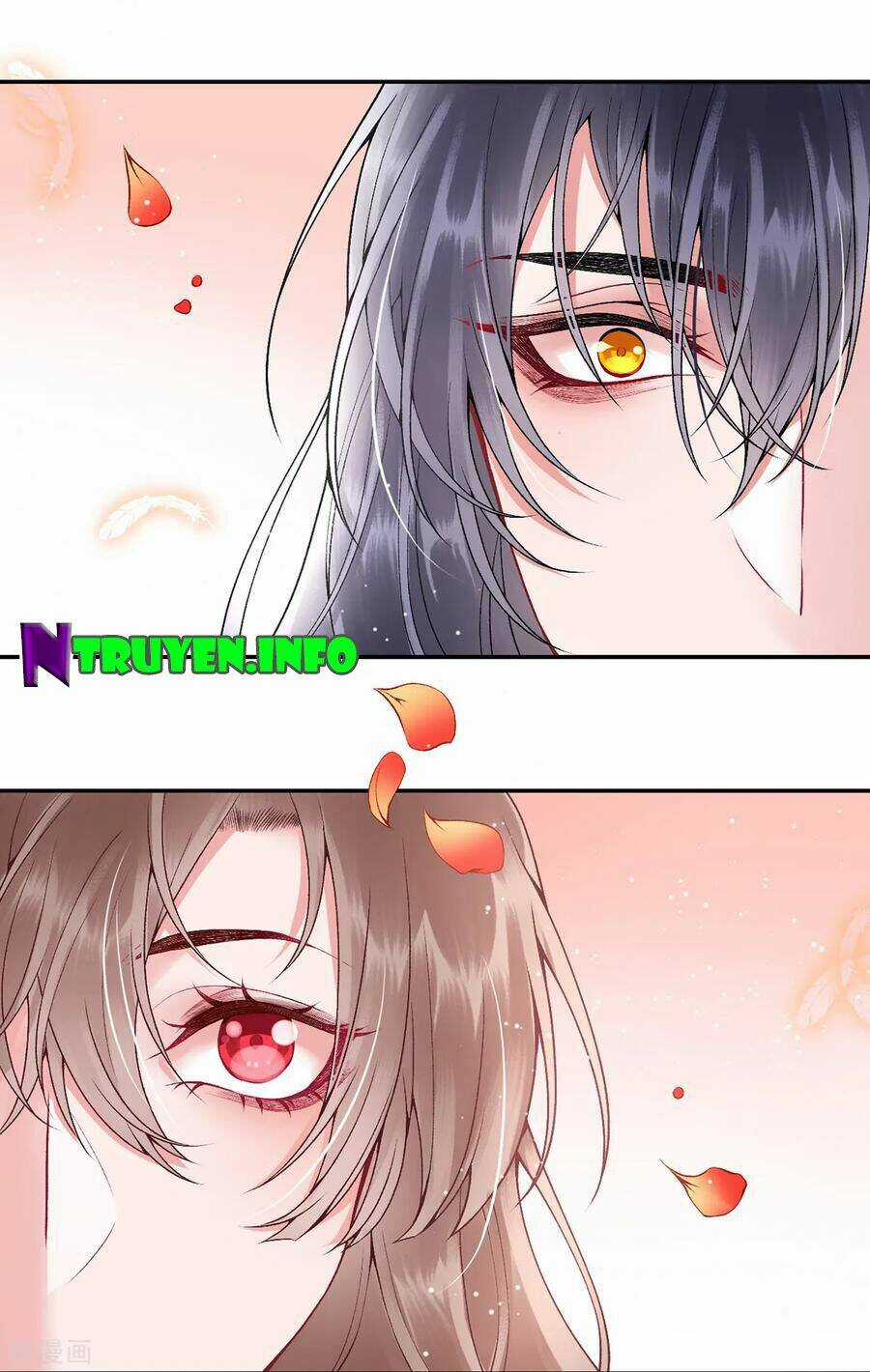 Hoàng Phi 9000 Tuổi Chapter 78 trang 25