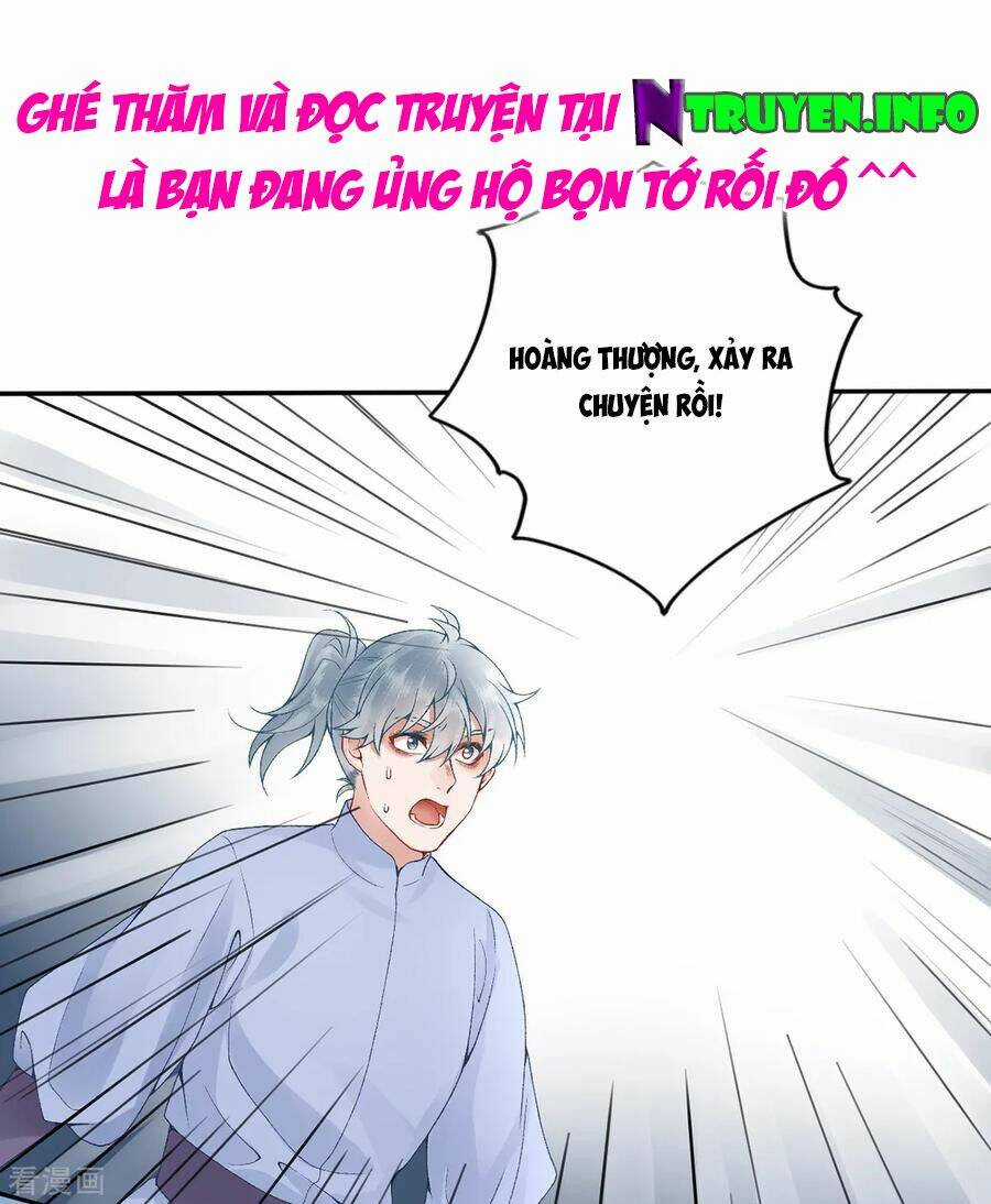 Hoàng Phi 9000 Tuổi Chapter 78 trang 32