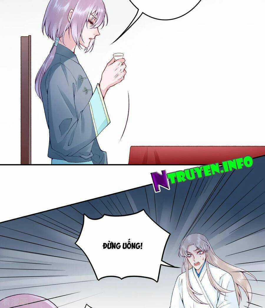 Hoàng Phi 9000 Tuổi Chapter 78 trang 5