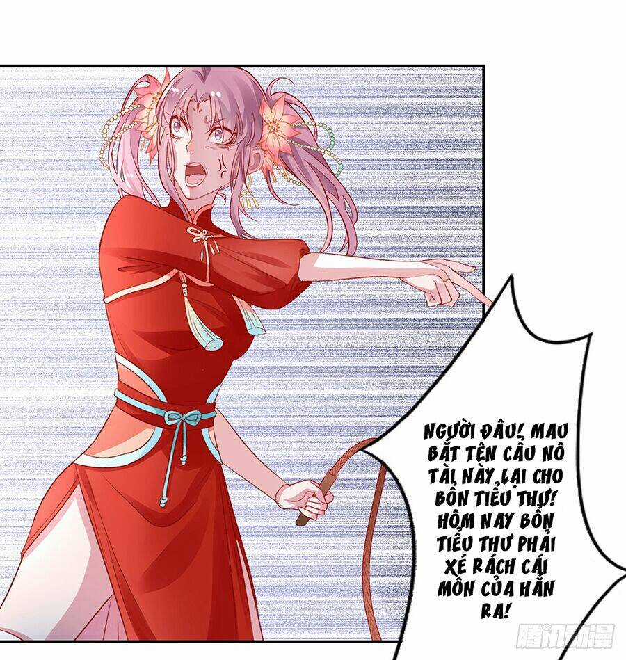 Hoàng Phi 9000 Tuổi Chapter 8 trang 5