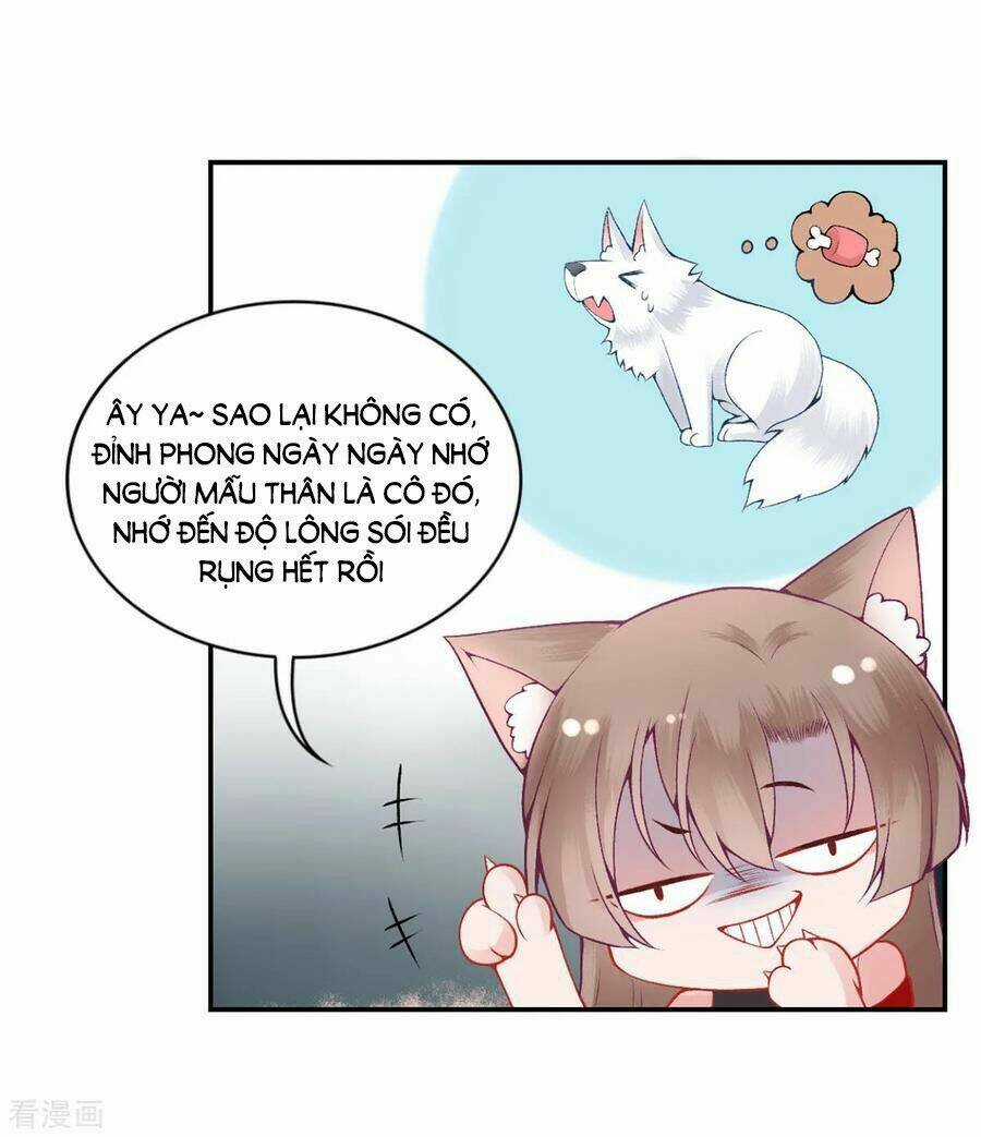 Hoàng Phi 9000 Tuổi Chapter 82 trang 25