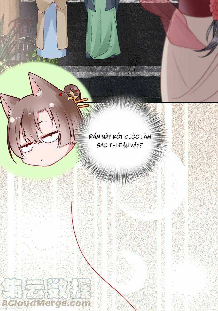 Hoàng Phi 9000 Tuổi Chapter 83 trang 6