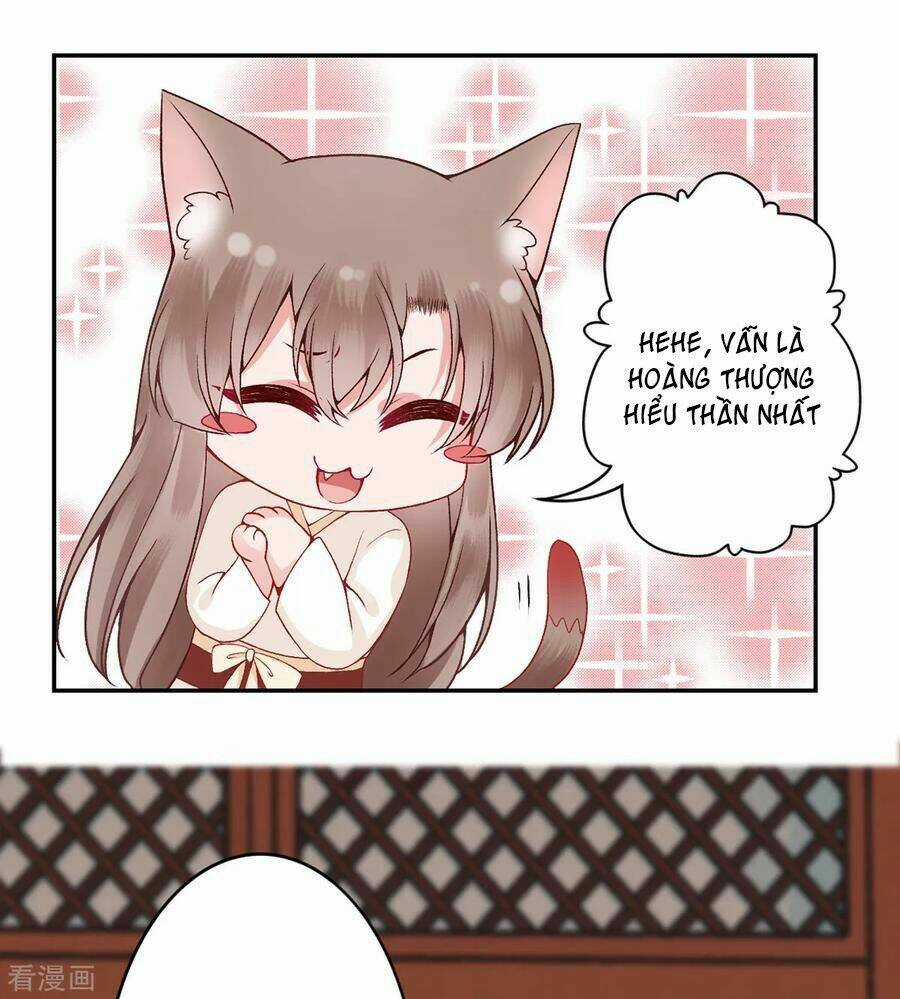 Hoàng Phi 9000 Tuổi Chapter 84 trang 13