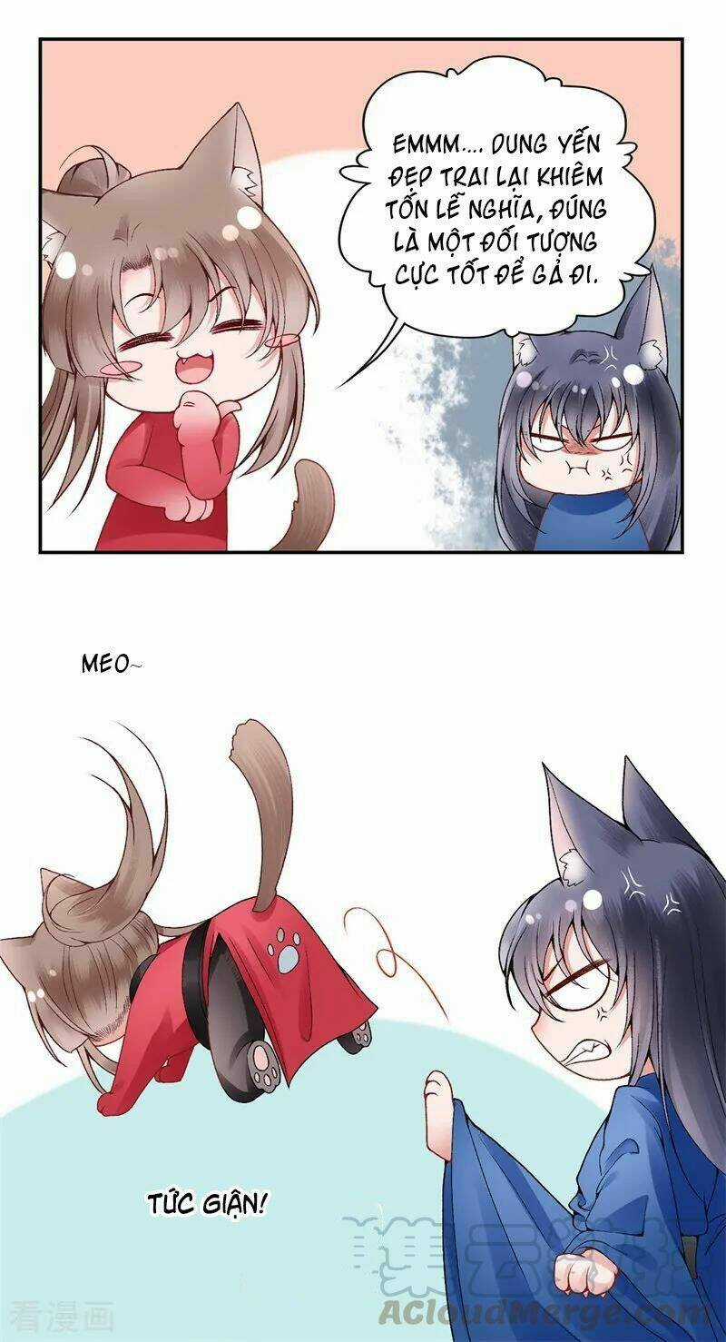 Hoàng Phi 9000 Tuổi Chapter 87 trang 18