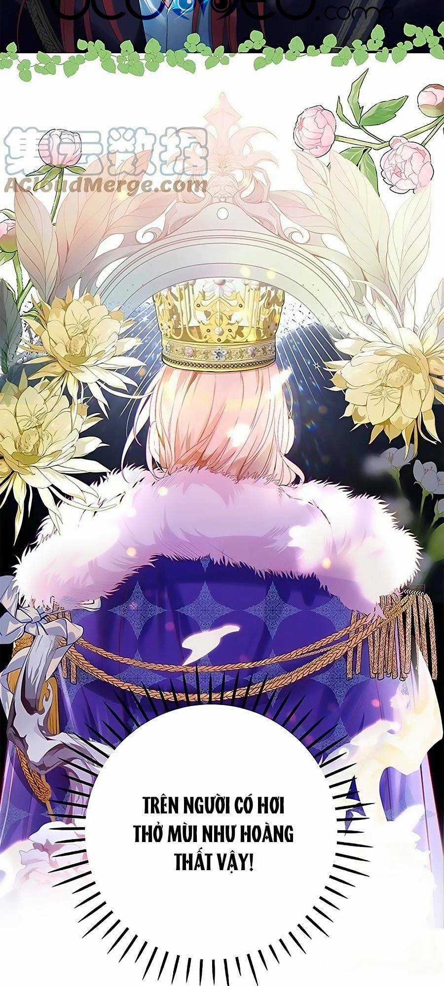 Hoàng Phi Đế Quốc Làm Không Dễ Chapter 13 trang 2