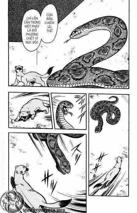 Hoàng Phi Hồng Phần 1 Chapter 9 trang 19