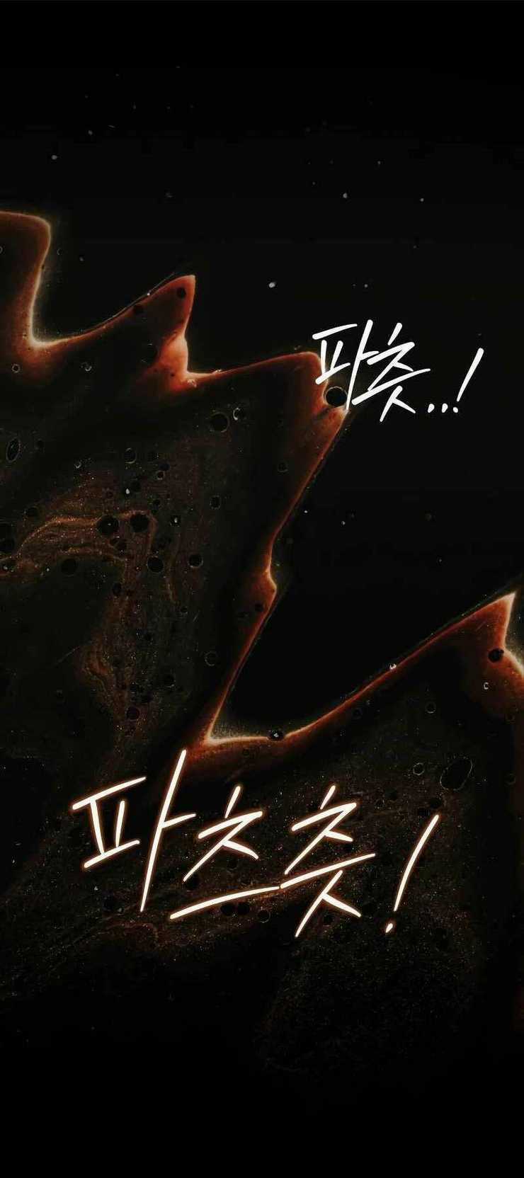 Hoàng Tử Bán Thuốc Chapter 17 trang 73