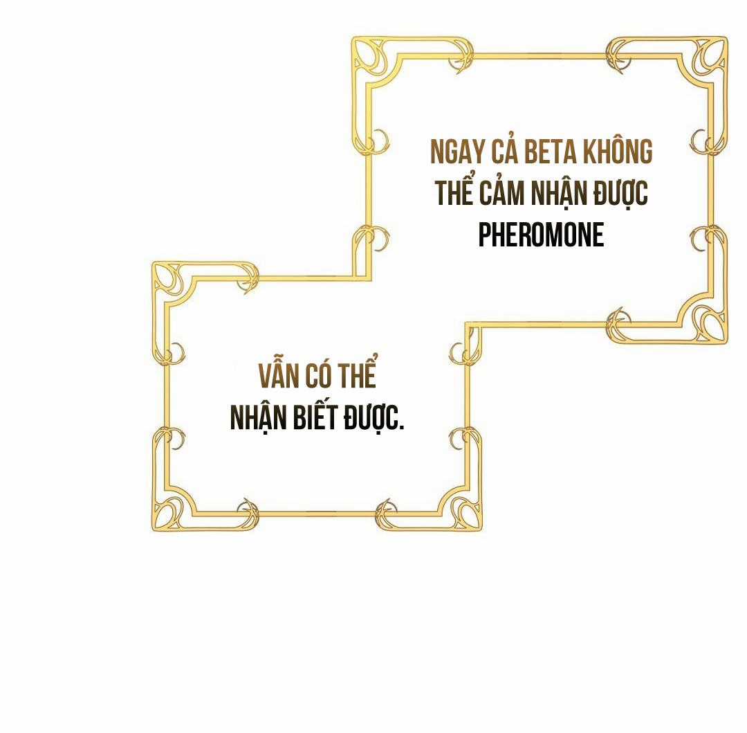 Hoàng Tử Hư Hỏng Che Giấu Mình Là Omega Chapter 11 trang 12