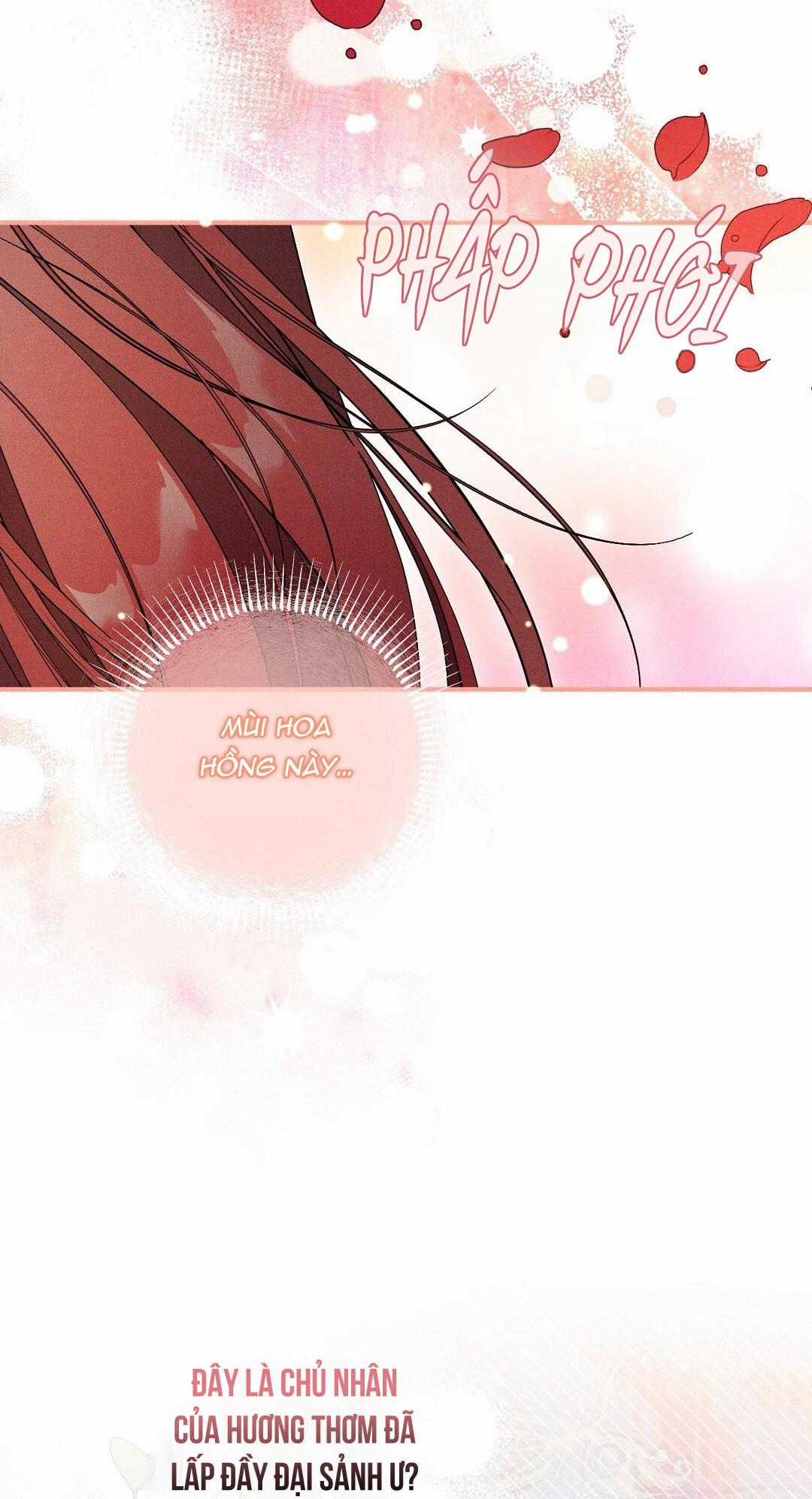 Hoàng Tử Hư Hỏng Che Giấu Mình Là Omega Chapter 11 trang 29