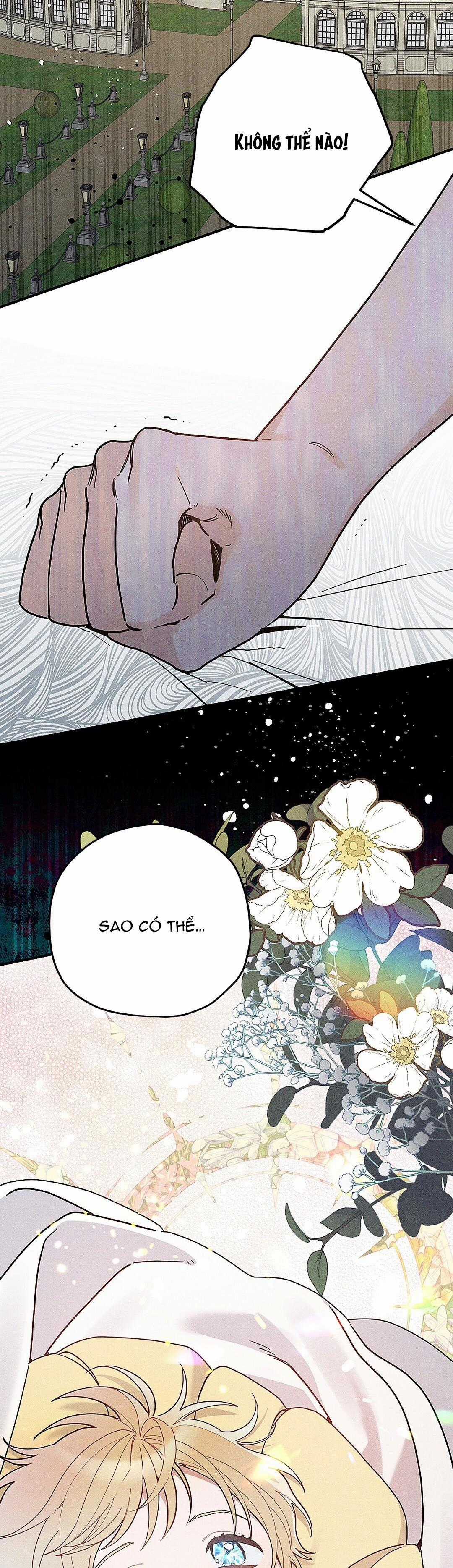 Hoàng Tử Hư Hỏng Che Giấu Mình Là Omega Chapter 2 trang 2