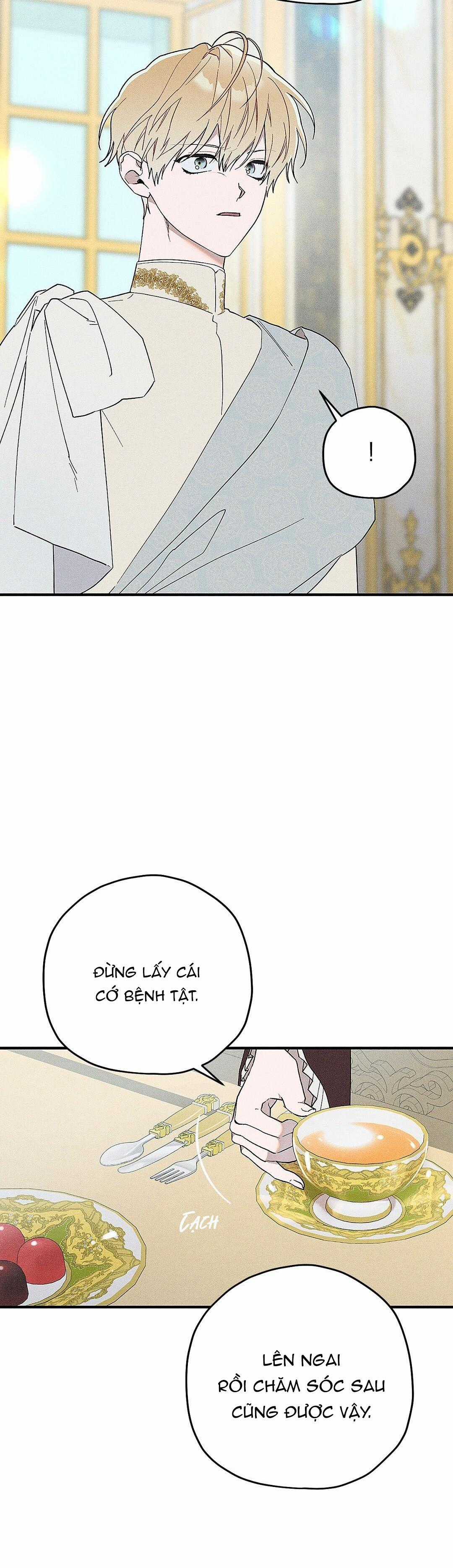 Hoàng Tử Hư Hỏng Che Giấu Mình Là Omega Chapter 2 trang 43