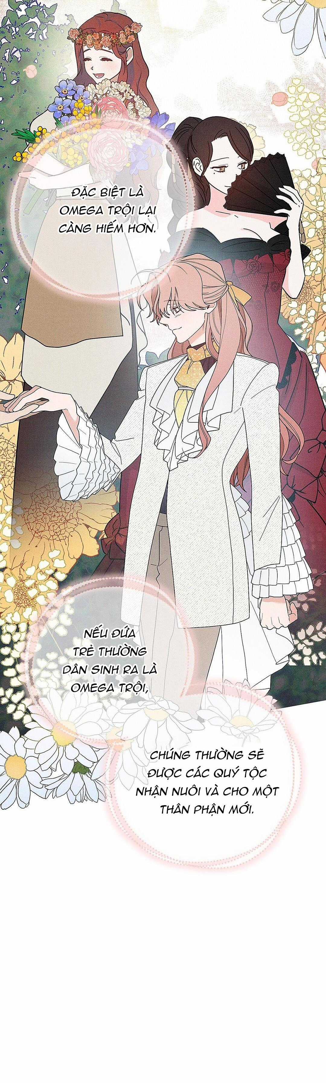 Hoàng Tử Hư Hỏng Che Giấu Mình Là Omega Chapter 2 trang 7