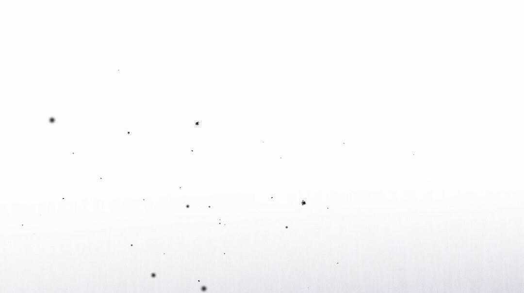 Hoàng Tử Hư Hỏng Che Giấu Mình Là Omega Chapter 22 trang 54