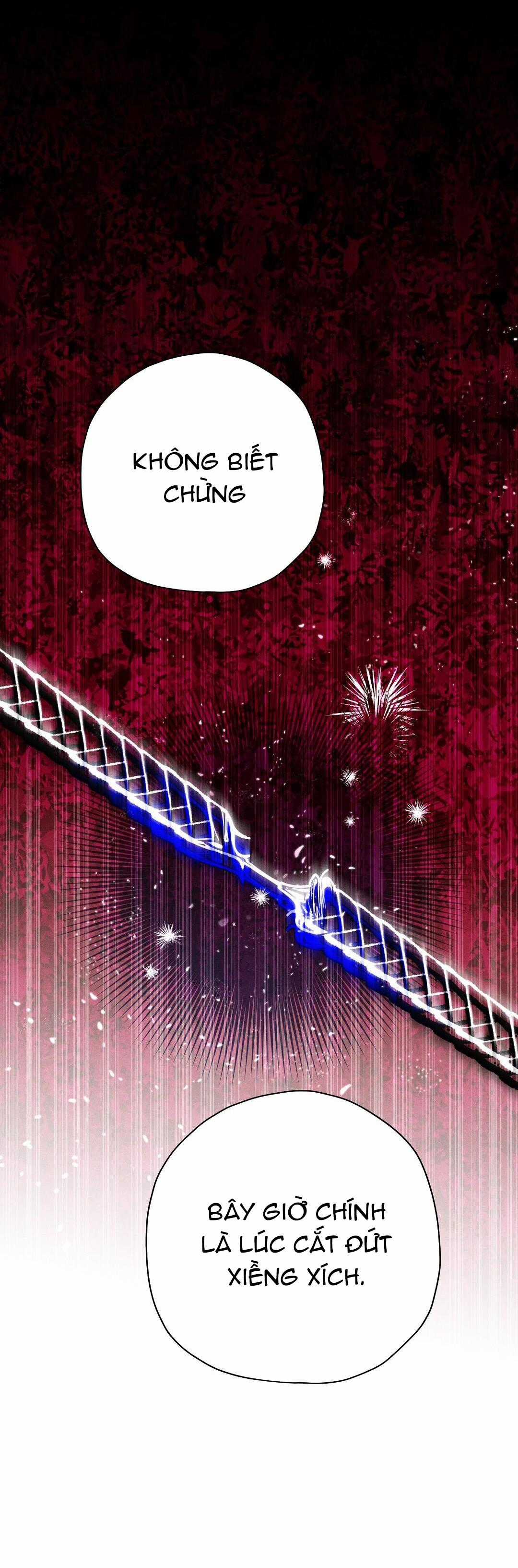 Hoàng Tử Hư Hỏng Che Giấu Mình Là Omega Chapter 24 trang 13