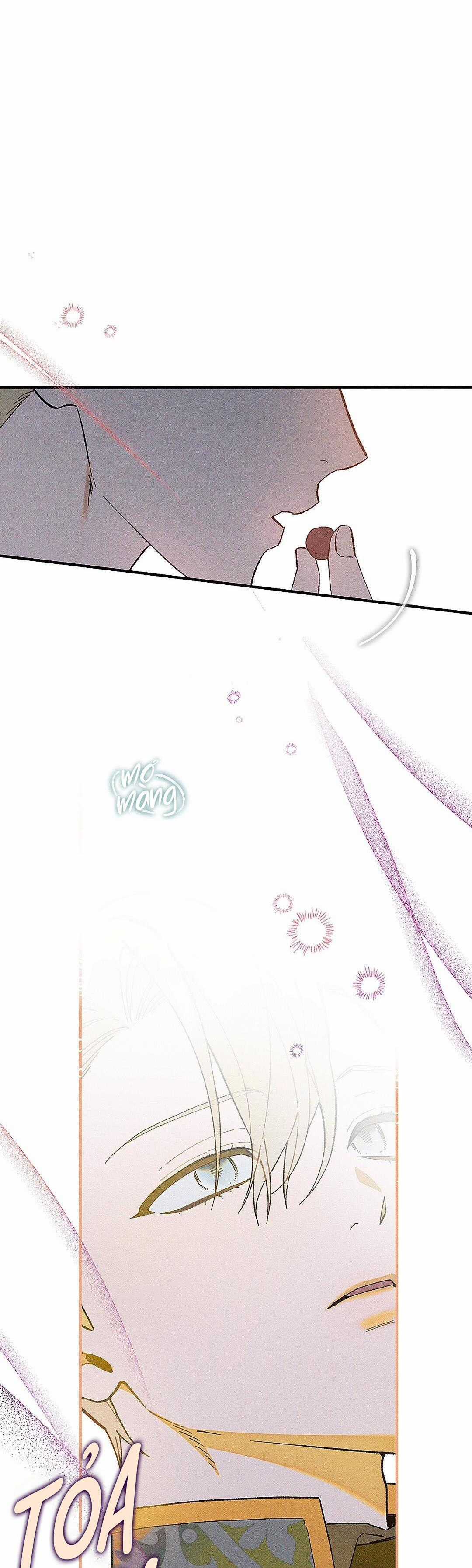 Hoàng Tử Hư Hỏng Che Giấu Mình Là Omega Chapter 3 trang 29