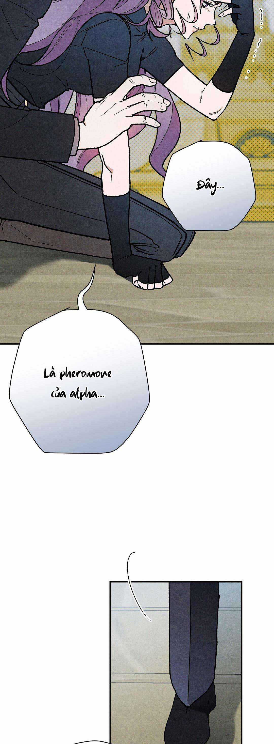 Hoàng Tử Hư Hỏng Che Giấu Mình Là Omega Chapter 35 trang 32