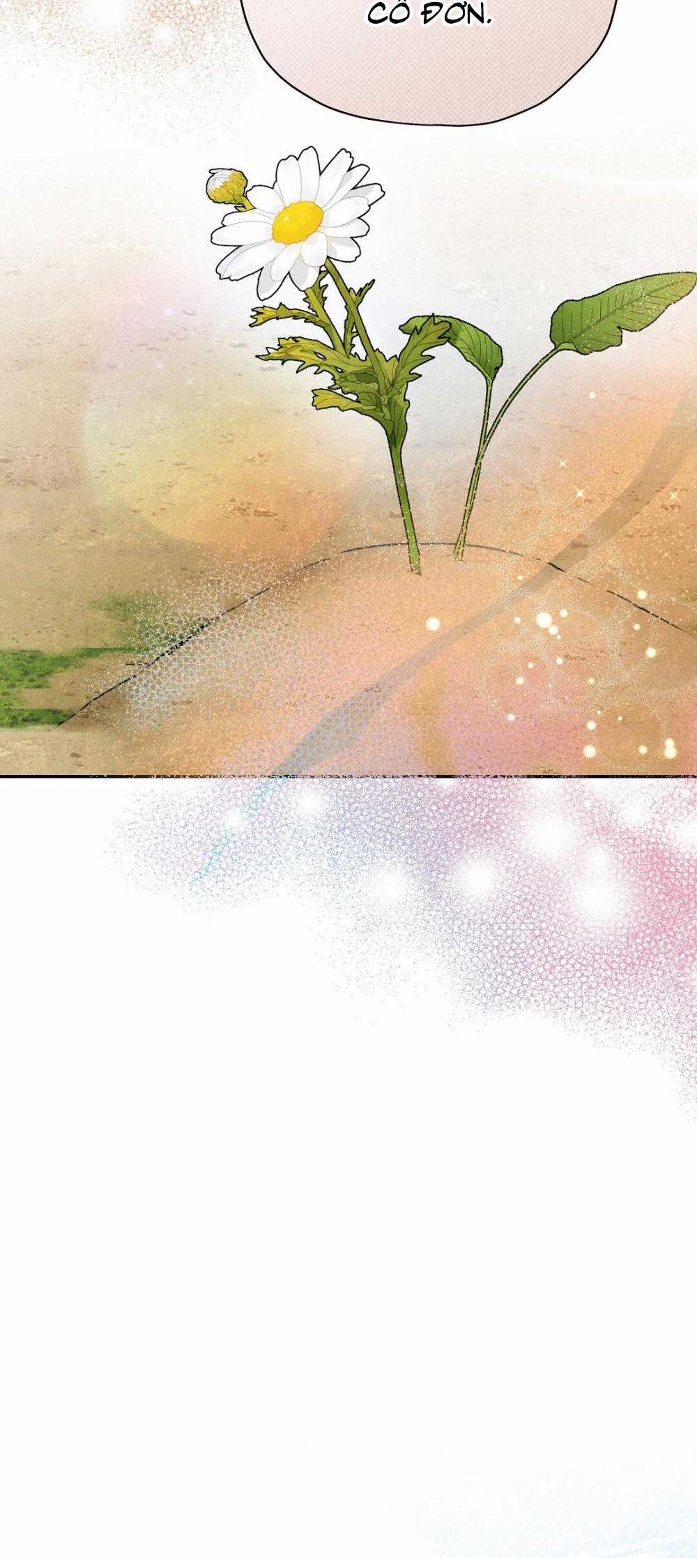 Hoàng Tử Hư Hỏng Che Giấu Mình Là Omega Chapter 43 trang 39