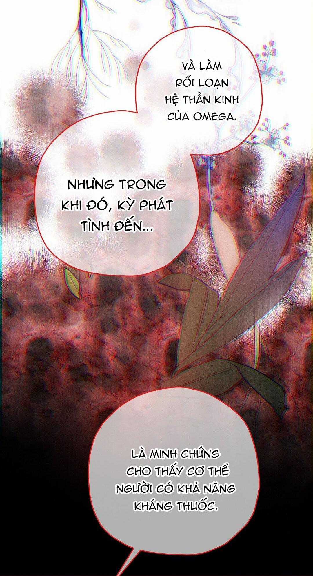 Hoàng Tử Hư Hỏng Che Giấu Mình Là Omega Chapter 8 trang 42