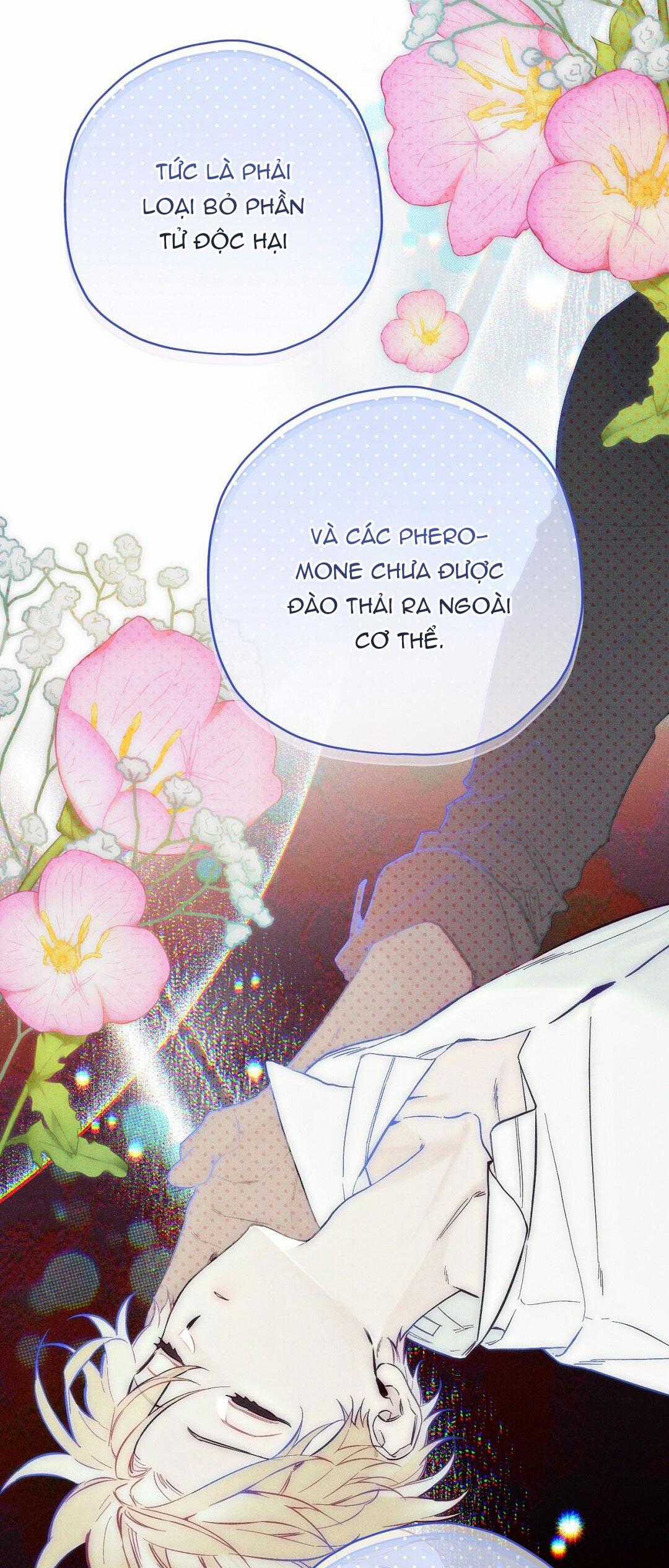 Hoàng Tử Hư Hỏng Che Giấu Mình Là Omega Chapter 9 trang 7